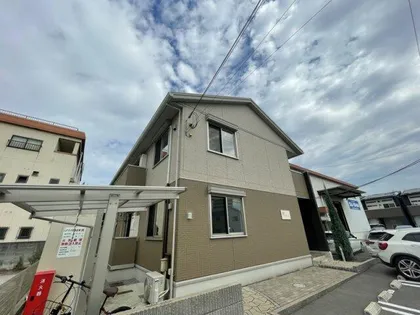 アムールの画像