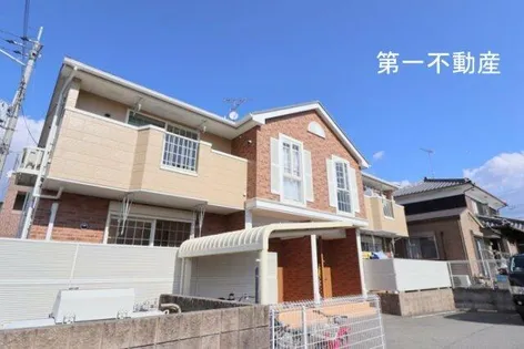 カモミールⅢ Aの画像