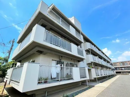 大阪府藤井寺市藤井寺2丁目【マンション】の外観