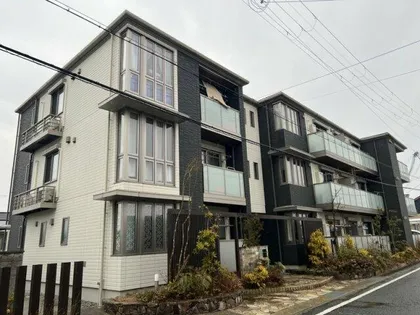 フェリーチェの画像