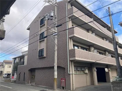 エンジェル尾上の画像