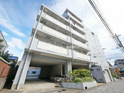 シャンティマサノの画像