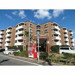 リー ルーチェの画像