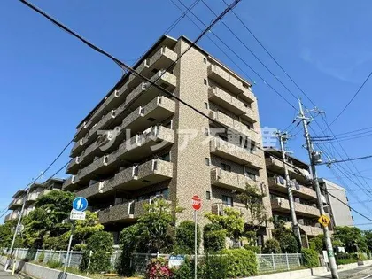 レジェンダリー小松の画像