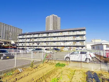 アンセスター91の画像