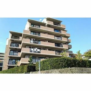 ヴィレッジバンブーの画像