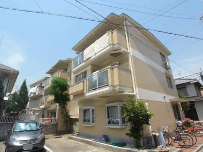 ツインティ木本の画像