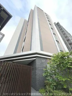 リオ ラクーコの画像