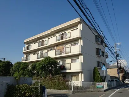 ハイツニシキの画像