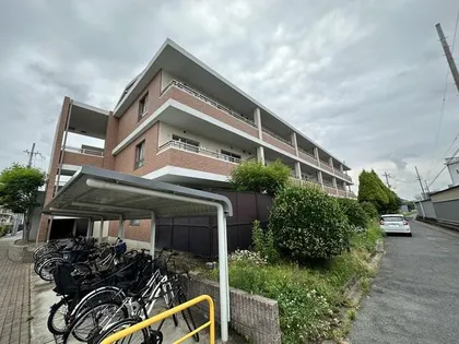 CHRYSANTHEMUM COURTの画像