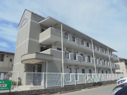 アドニス ベルロードの画像