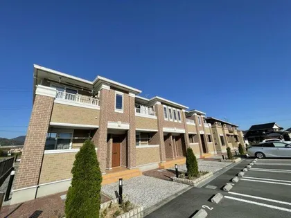 シンビジュウムAの画像