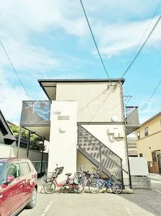 フラットコートの画像