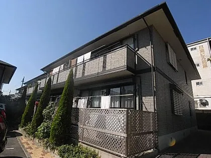 フェルトラウト24の画像