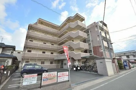 エバー グリーンの画像