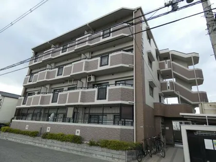 サニーコートナカイの画像