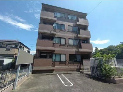 プリムローズマキAの画像