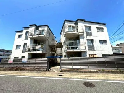 ポンテ フィーコの画像