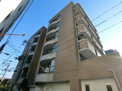 グレイスパインの画像