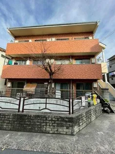 グレースミユキの画像