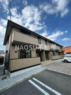 プルメリアの画像