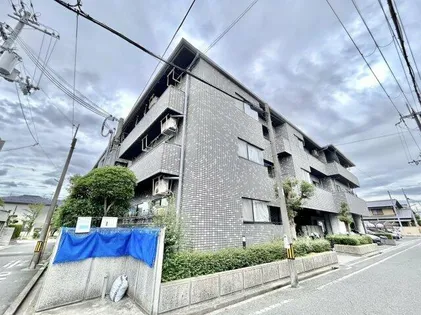 セルバ山本Ⅱの画像