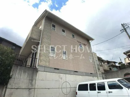 ベルサーチ真伝の画像