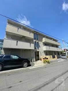 アルベロ ディ エノキの画像