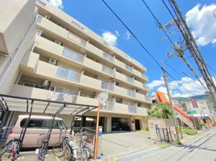 コスモス瓢箪山の画像