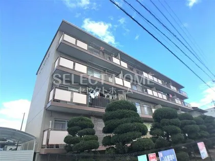 コーポまやだ【4階】の外観