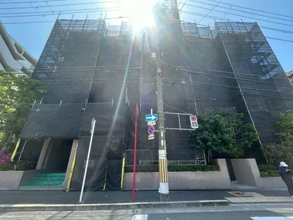 ロイヤルプリンスの画像