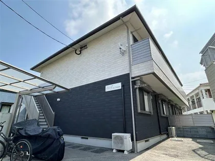 AMP ES WAJIROの画像