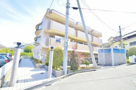 リビオ金剛の画像