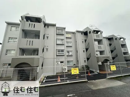 サンライズ美里の画像