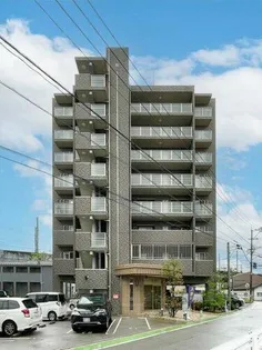 横手 はなみずきの画像