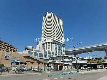 ティオ舞子の画像