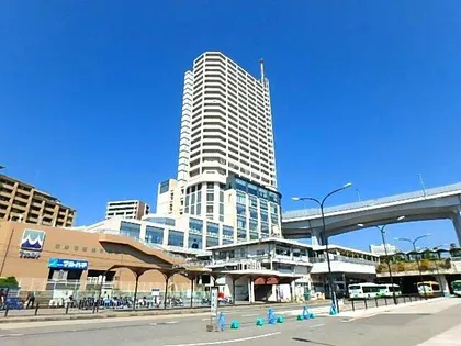 ティオ舞子の画像