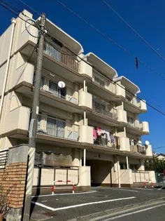 シャトー道の画像