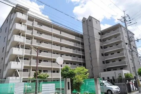 デミューズ木幡【7階】の外観