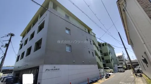 グランパティキサイチの画像