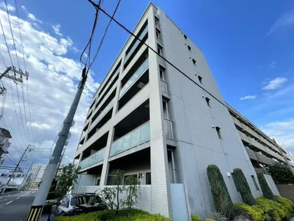 LAVISの画像