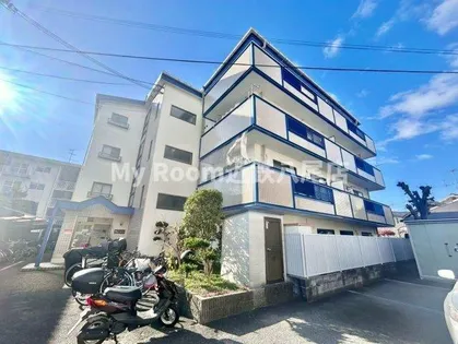 グリーンリーヴスの画像