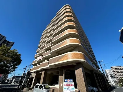 オークランド桜通りの画像