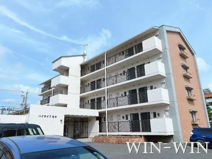 ハイライフ花中の画像