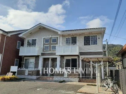 クリスマスローズIIIの画像