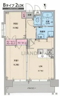 ラファセエスティーロ箱崎駅前【7階】の間取り