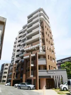 エレガンスコトブキの画像