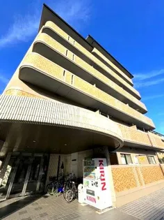 フレアコートコスモの画像