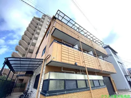 プルス野中南の画像