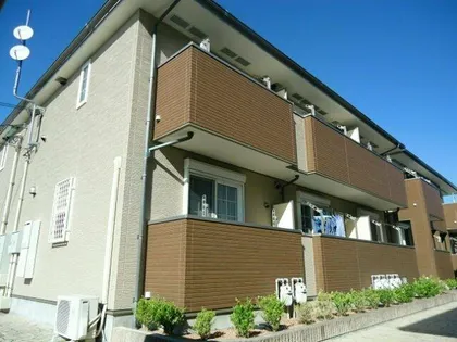 ロータスの画像